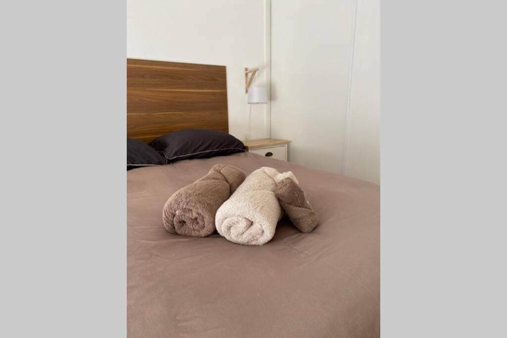 Cocon Sur Cour Apartment Thonon-les-Bains