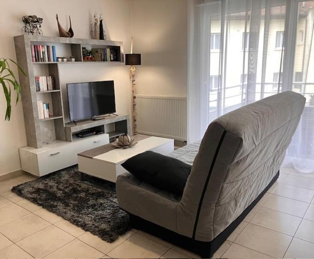 Cocon Sur Cour Apartment Thonon-les-Bains